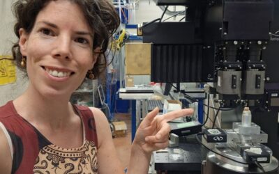 A Midsummer Night’s Dream – One Last SYRMEP Beamtime